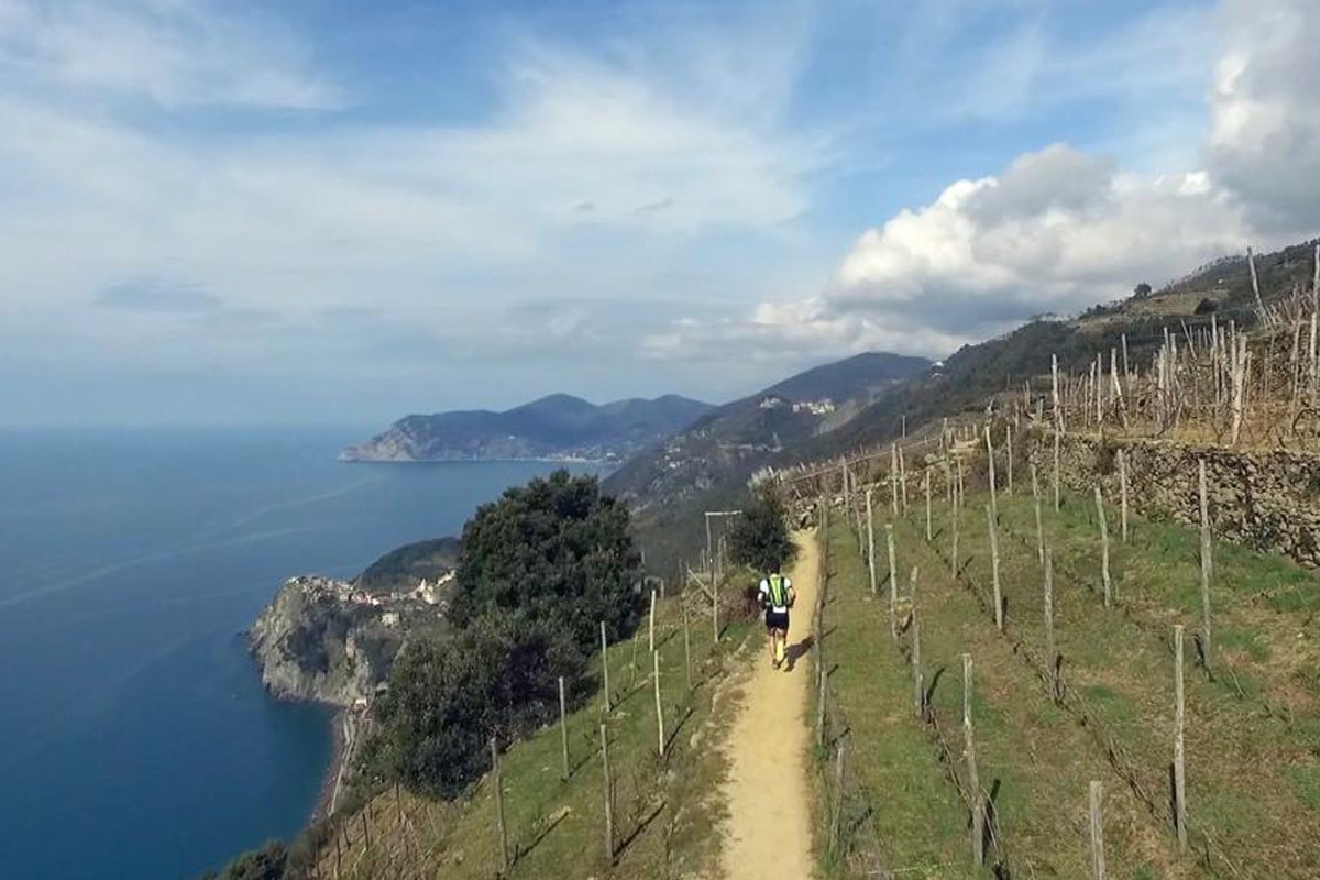 Sciacchetrà: Il Vino Passito delle Cinque Terre tra Storia, Produzione e Abbinamenti