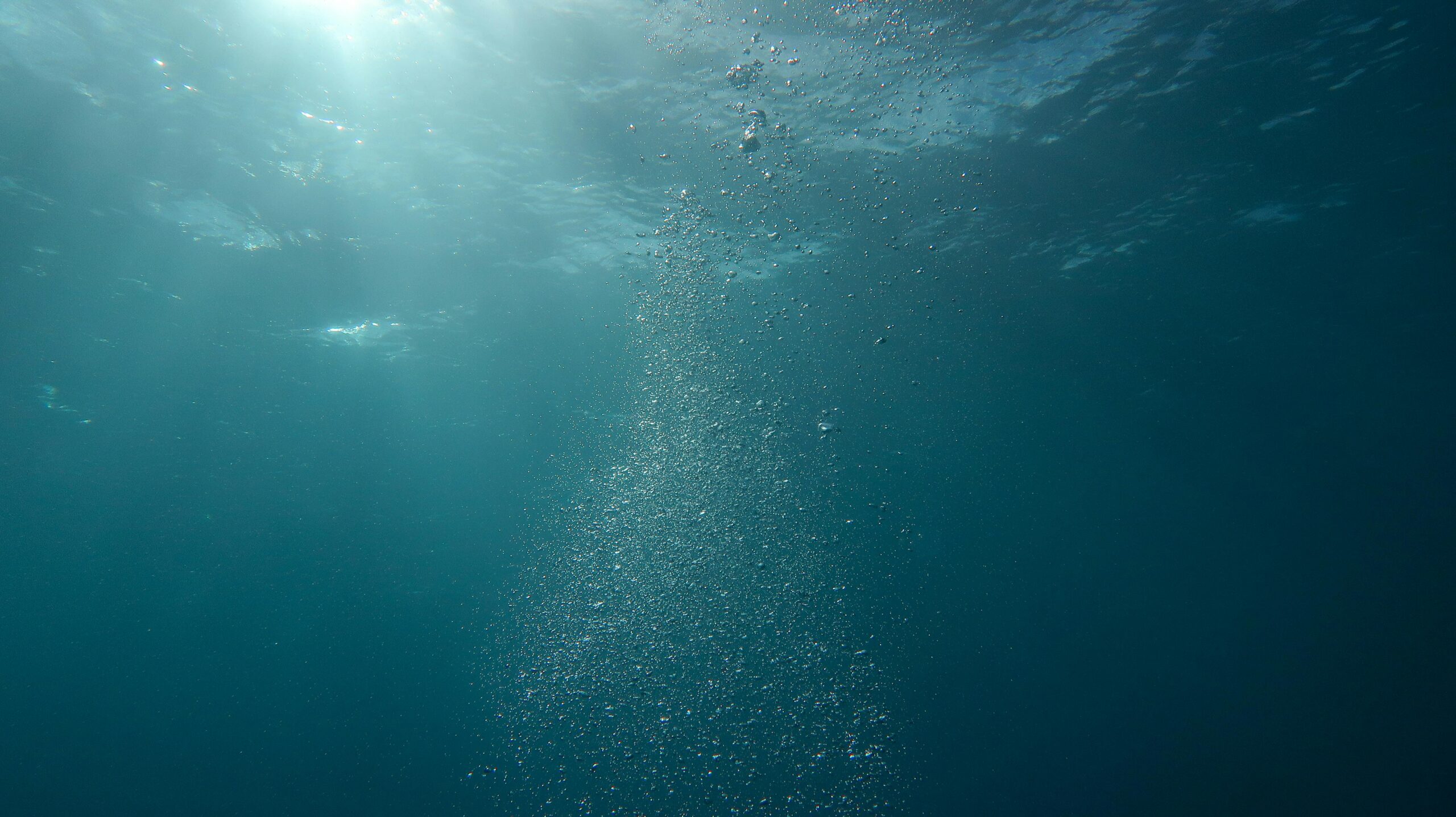 Dove Fare Immersioni Subacquee in Liguria: Guida ai Migliori Spot