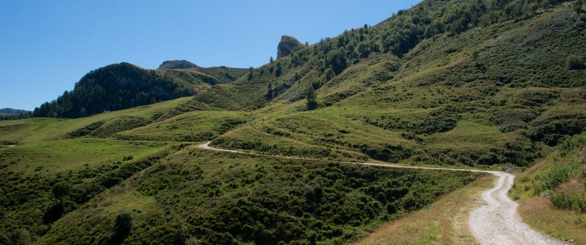 Alta Via dei Monti Liguri: Il Cammino sul Tetto della Liguria, tra il Mare e il Cielo