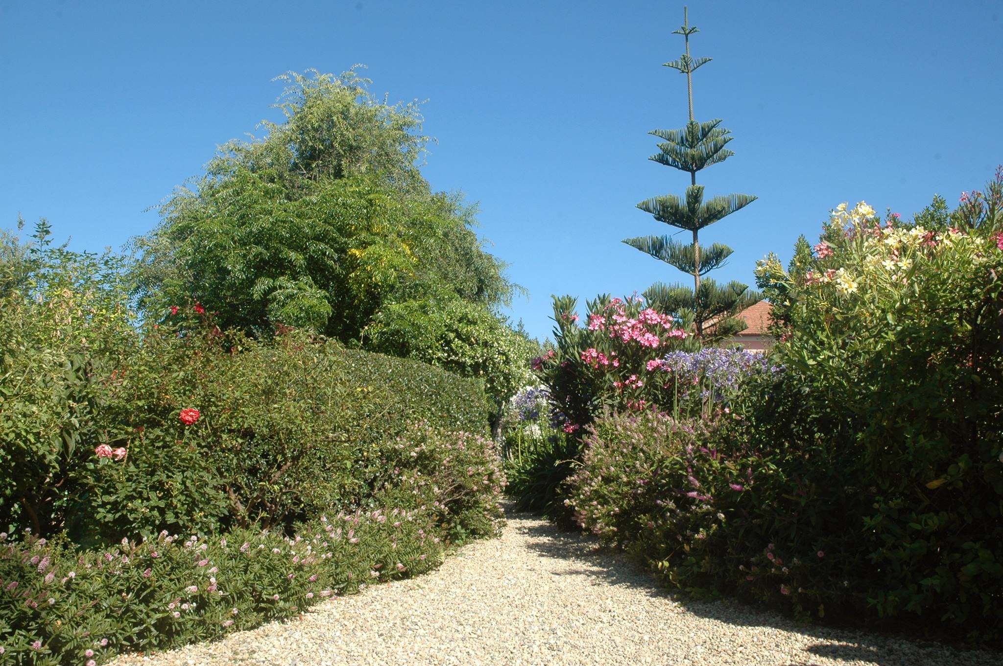 Giardini Segreti e Parchi Letterari: Il Risveglio della Primavera in Liguria