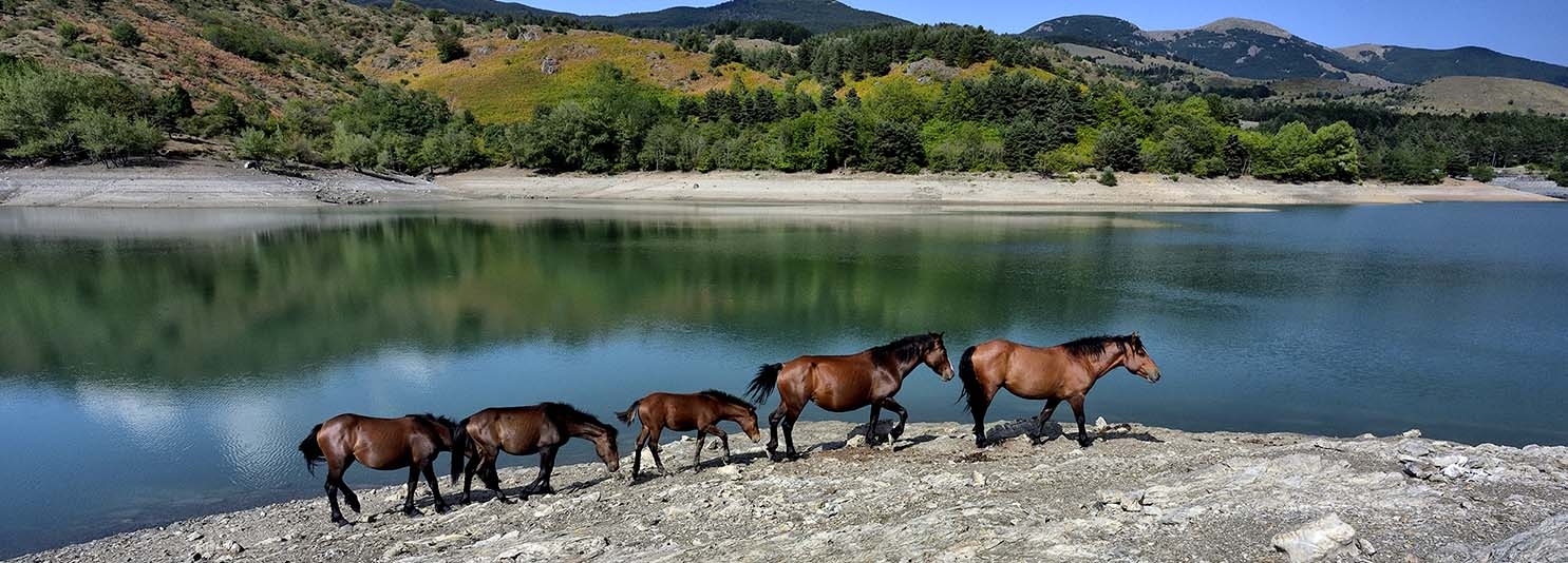 Parco dell’Aveto, un’estate tra natura selvaggia e tradizioni autentiche